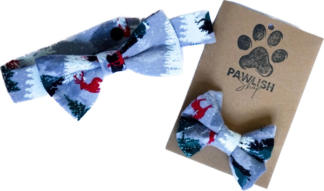 matching bow ties for dog and owner