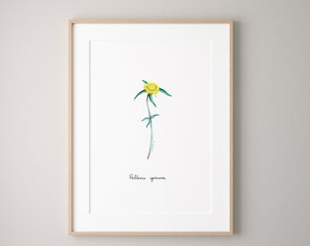 Pallenis espinosa Botanical watercolour print