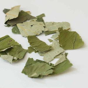 Teapro Lotus Leaf Loose Leaf Herbal Tea | Premium Herbal Tea | Delightful Detox Tea for Tea Enthusiasts