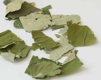 Lotusblatt Kräutertee | Traditioneller chinesischer Entgiftungstee