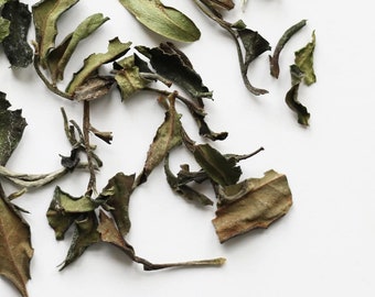 Teapro Orchidee Weiße Pfingstrose Tee | Premium Bai Mu Dan | Loseblatt Pai Mu Tan | Mudan Tee | Camellia sinensis | Zart Weißer Tee