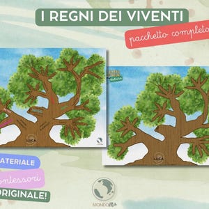 I Regni dei Viventi Montessori PDF | Carte di Classificazione - Poster e Attività | Scienze Scuola Primaria | Printable Montessori Material