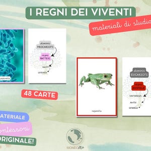 Può includere: Flashcard educative con il titolo "I REGNI DEI VIVENTI" (I Regni dei Viventi). Le carte presentano illustrazioni di batteri, una rana e diagrammi. Il testo include "48 CARTE", "MATERIALE", "Montessori" e "ORIGINALE!"