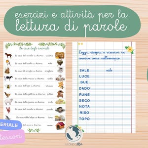 以下が含まれることがあります： イタリア語の読み方を教えるための印刷可能なワークシート2枚。最初のワークシートには、動物の名前と動物とその家のイラストがリストされています。2番目のワークシートには、イタリア語の単語がリストされており、読み、コピー、そして筆記体で書き直すことができます。