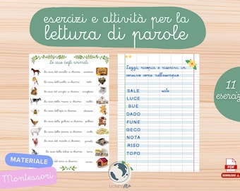 Printable Montessori Materials - Reading and Writing Exercises PDF - Montessori printable