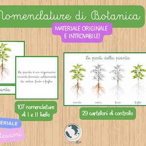 Könnte beinhalten: Lehrreiche botanische Tafeln mit italienischem Text. Das Bild zeigt Illustrationen von Pflanzenteilen, darunter Wurzeln, Stängel und Blätter. Der Text enthält "Nomenclature di Botanica" und "Materiale Originale e Introvabile!"