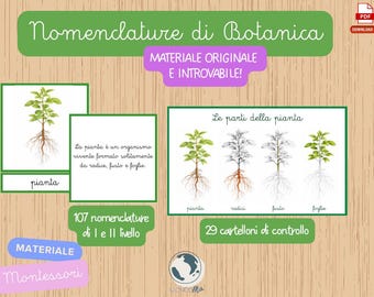 Botanica Montessori | 107 Nomenclature + 29 Cartelloni di Controllo PDF | Botany Nomenclature| pianta radici fusto foglia frutto semi