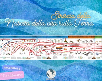 The Appearance of Life | Second Cosmic Fable | Montessori Cosmic Education