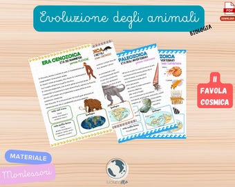 Montessori Materials - Geological Eras | Paleozoic, Mesozoic, Cenozoic | In-depth analysis of the birth of life | Second Fable