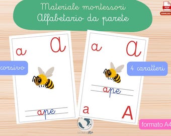 Alfabetario Corsivo Montessori + 4 caratteri | 52 Carte Alfabeto Italiano | Pregrafismo | Lettoscrittura | PDF Stampabile
