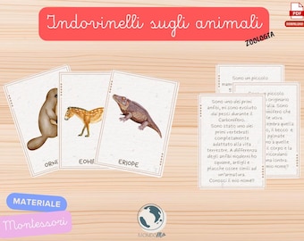Animal Riddles - Montessori Materials