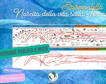 Montessori strip of the appearance of life on Earth