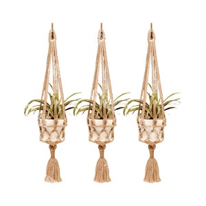 May include: Set of three macrame plant hangers with a natural beige color. Each hanger features a small white pot with a green plant inside. The hangers have a tassel at the bottom.