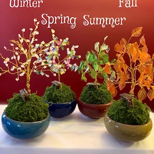 May include: Four decorative miniature trees representing the seasons: Winter, Spring, Summer, and Fall. Each tree features a mossy base in a ceramic bowl, with wire and bead foliage. The background is a solid red.