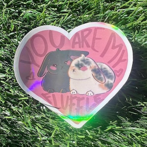 You Are My Fluffle Vinyl Sticker | decal, bunny, kawaii, rabbits, laptop, water bottle, stickers, funny, hawaii, love, Valentine, couple