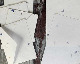 Aciano - Juego de papel y sobre floral hecho a mano / Papel botánico y sobre hecho a mano con acianos secos / Papel botánico