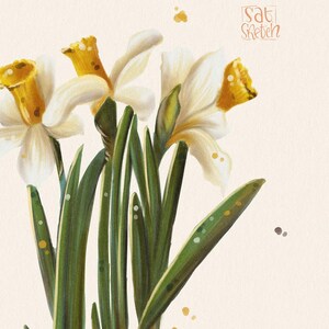 Daffodils Postcard – Botanical Art Card, Cute Flower Illustration, Gift for Paper Lovers & Postcrossing, Spring Greeting Card