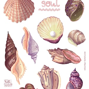 Seashells Stickers - Ocean, Beach and Coastal Theme Stickers for Journals, Scrapbooking, Planners, Pen Pal & Craft Projects