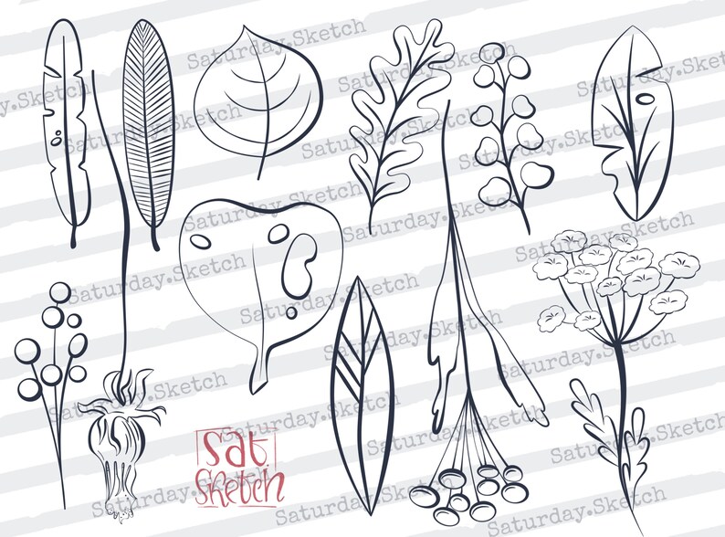 Flowers & Leaves Procreate Stamp Brushes - Etsy