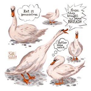 Swans Square Postcard – Elegant Bird Art, Nature Aesthetic, Collectible Stationery, Gift for Bird Lovers, Comics Cute Illustrations