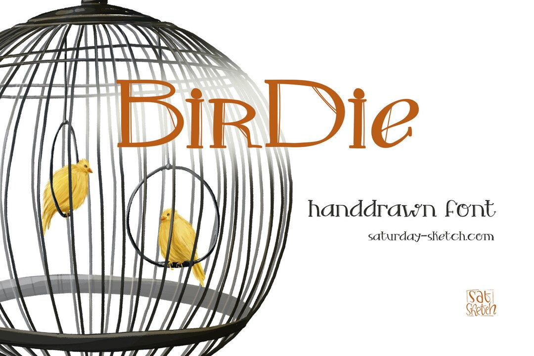 Birdie Hand-drawn Serif Font: Whimsical OTF Typeface - Etsy