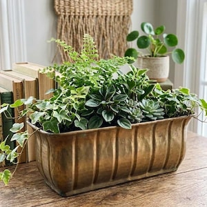 May include: A rectangular, fluted brass planter filled with a variety of green plants, including a fern, ivy, and succulents. The metallic container features vertical ridges and a warm, aged finish, holding a dense arrangement of foliage.