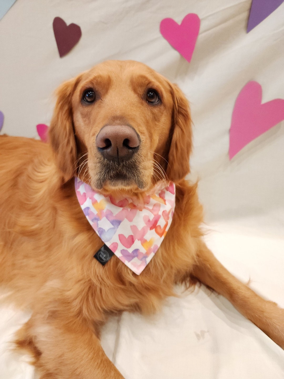 Reversible Valentine's Day Easy on Dog Bandana, Hearts Dog Bandana