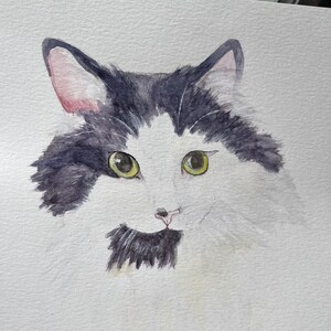 Watercolor pet portrait | custom dog portraits | custom pet portrait | hand painted pet portrait | custom cat portrait