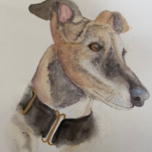 Watercolor pet portrait | custom dog portraits | custom pet portrait | hand painted pet portrait | custom cat portraits