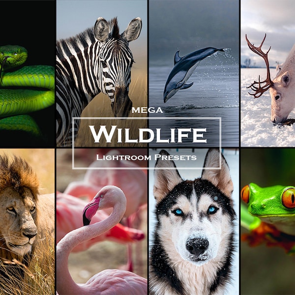 60 Wildtiere Lightroom Presets | Tierfotofilter (XMP)