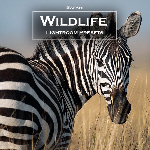 10 Safari Wildlife Lightroom Presets Pack | Mobile und Desktop Lightroom Presets | Wildlife Presets | Tier-Presets | Desert Presets |