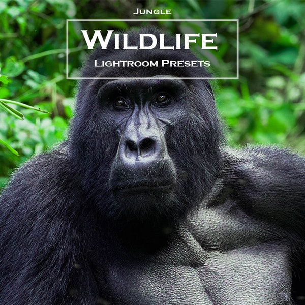 10 Jungle Wildlife Lightroom Presets Pack | Mobile and Desktop Lightroom Presets | Wildlife Presets | Animal Presets | Forest Presets |