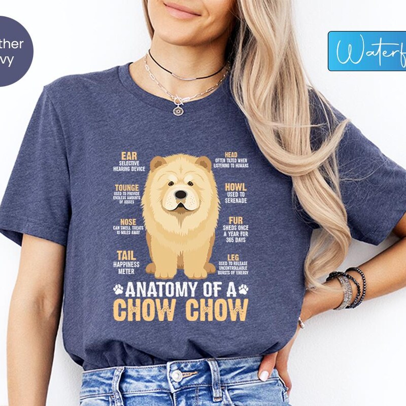 Chow Chow Child In Bright Multicolor Dress CloseUp On Pure Black Background Pixar Style 238288985