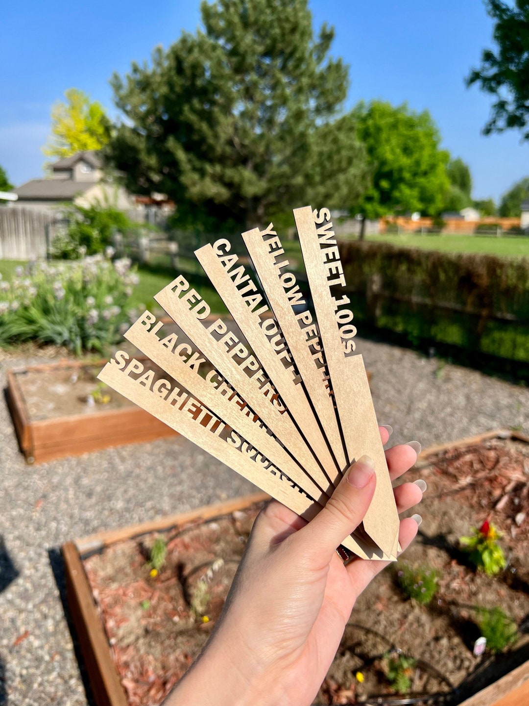 Compostable Biodegradable Eco-friendly Garden Plant Markers, Laser Cut ...