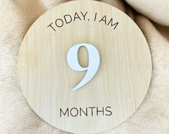 Interchangeable Wooden Monthly Milestone Markers, Baby's First Year Round Photo Props, 12 Months, Laser Cut Engrave, 3D Circle Blanket Cards