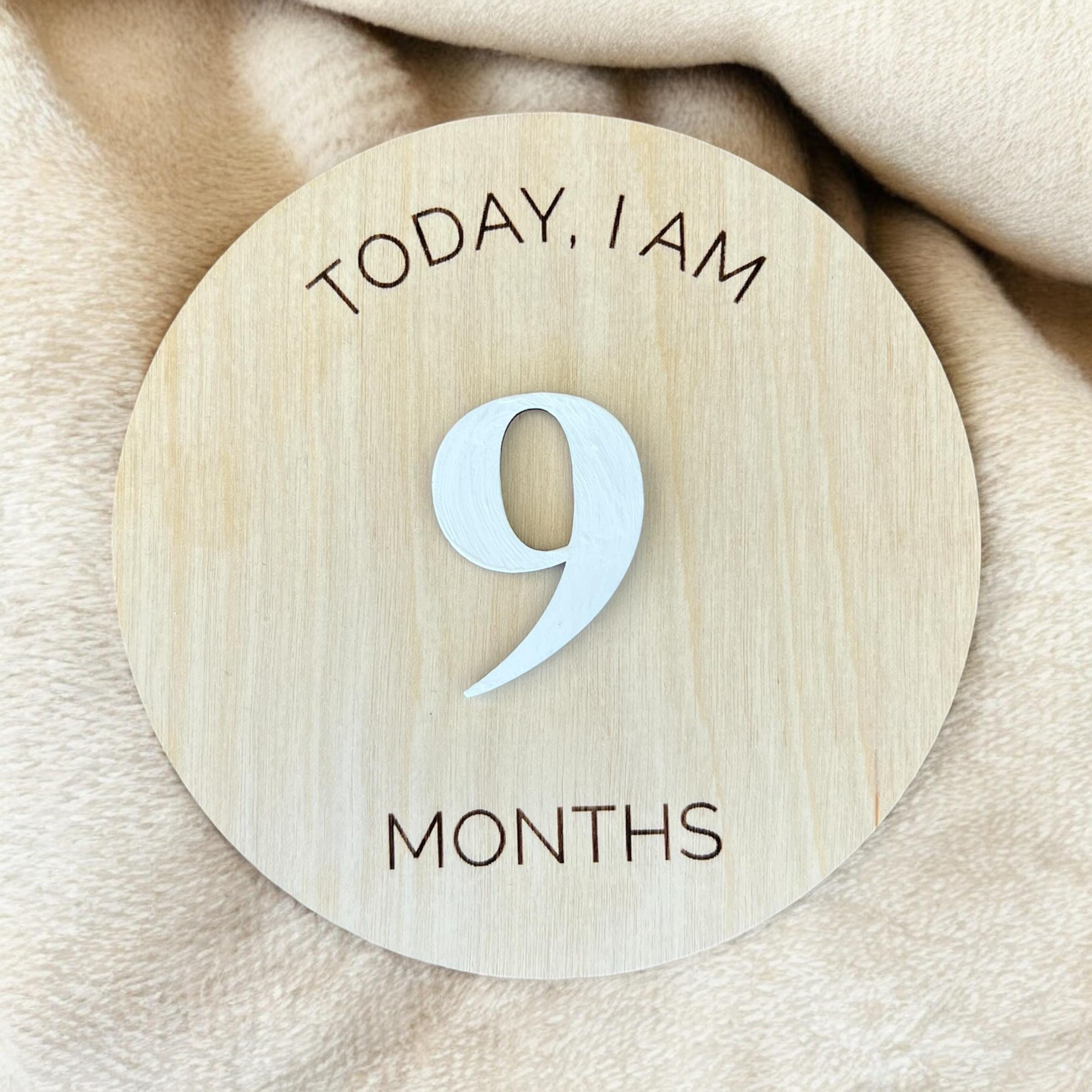 Interchangeable Wooden Monthly Milestone Markers, Baby's First Year ...