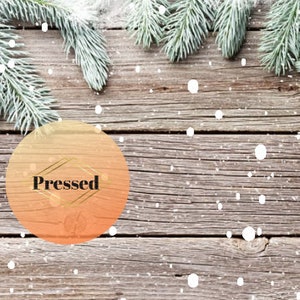 Zoom Virtual Video Background Winter Snow Download