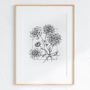 Botanical Sketch | Printable Digital Download | Chrysanthemum November Flower Drawing