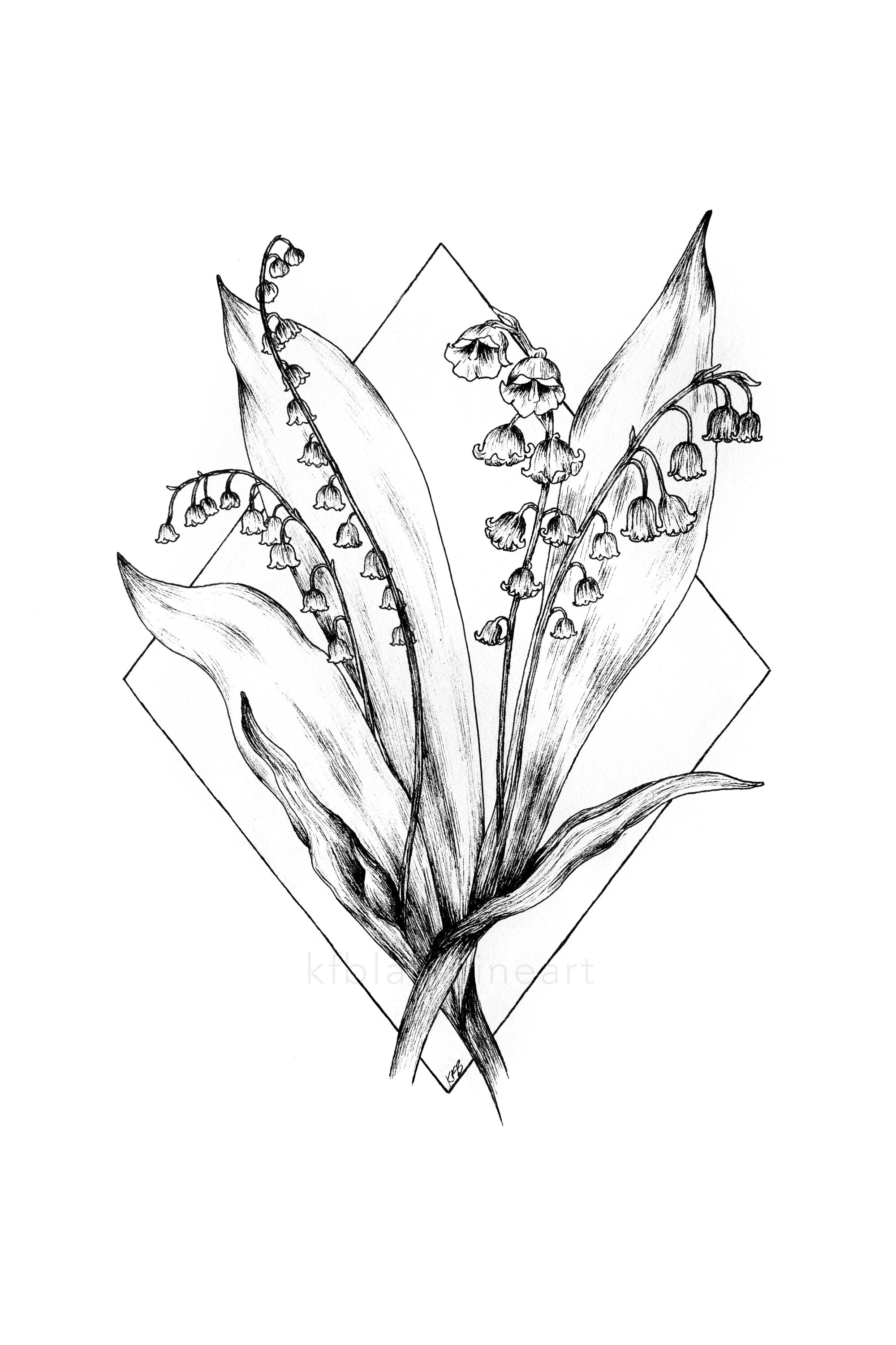 Botanical Sketch Printable Digital Download Lily of the Valley May Flower Drawing Etsy