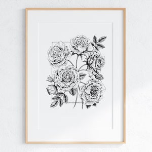 Botanical Sketch | Printable Digital Download | Rose June Flower Drawing
