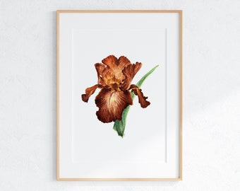 Iris Aquarell | Druckbarer digitaler Download