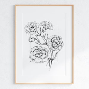Botanical Sketch | Printable Digital Download | Carnation January Flower Drawing