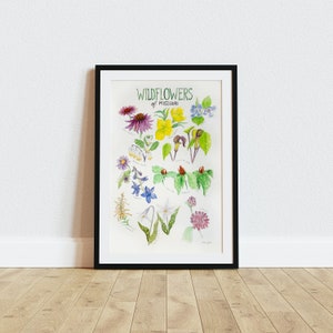Wildflowers of Missouri | Fine Art Print