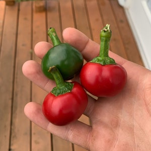 Cherry Pepper seeds