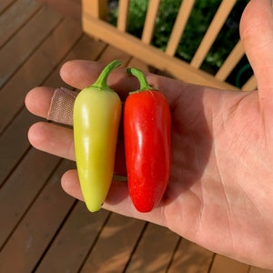 Zaden van Jaloro-peper