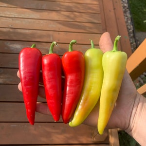 Banana pepper seeds