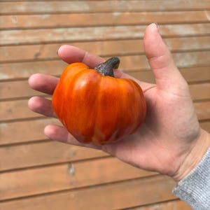 Blot pepper seeds