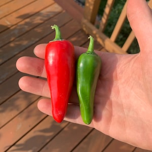 Hawaiian Sweet Hot pepper seeds