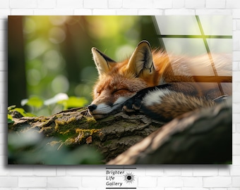Arte de pared de vidrio acrílico de zorro durmiente, impresión animal de fotografía forestal