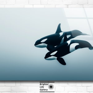 Puede incluir: Dos orcas blancas y negras nadan en un oc&eacute;ano azul. Las orcas nadan una al lado de la otra, con la orca m&aacute;s grande en primer plano y la m&aacute;s peque&ntilde;a en el fondo.